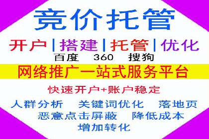 SEM托管优化案例深度解析